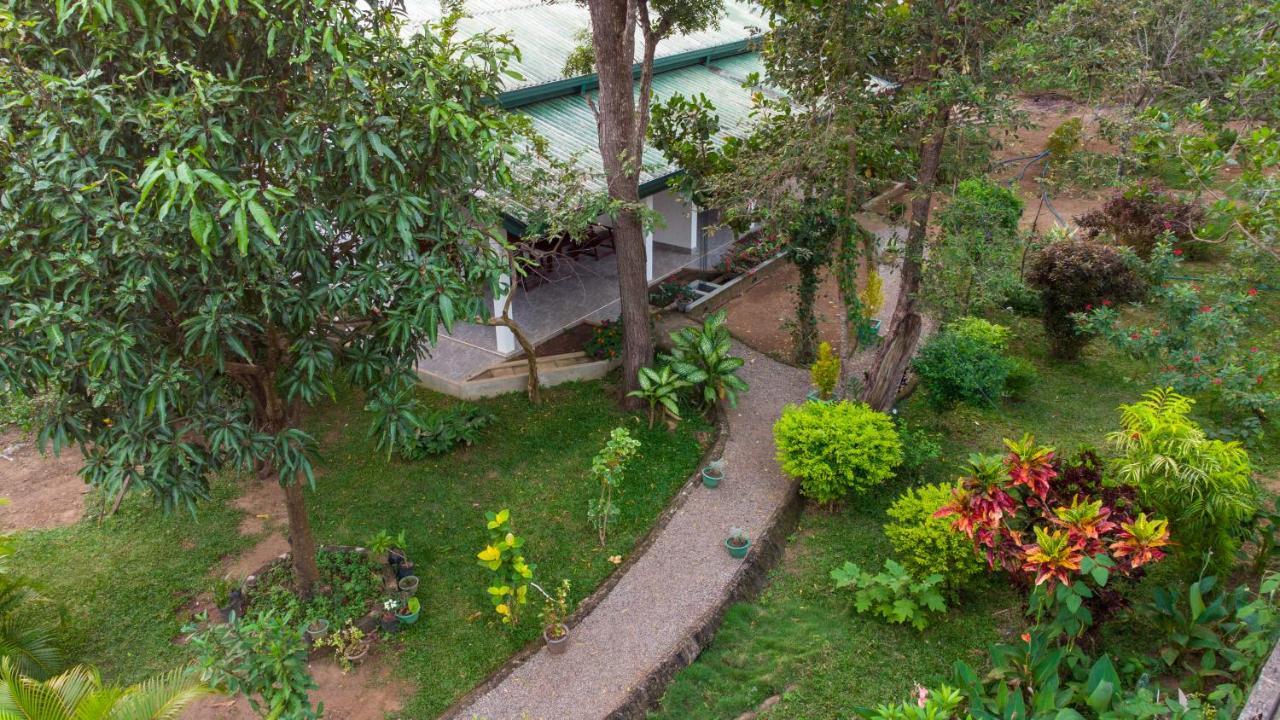 Tamarind Tamarind Resort, Tourist Board Approved Habarana Exterior photo