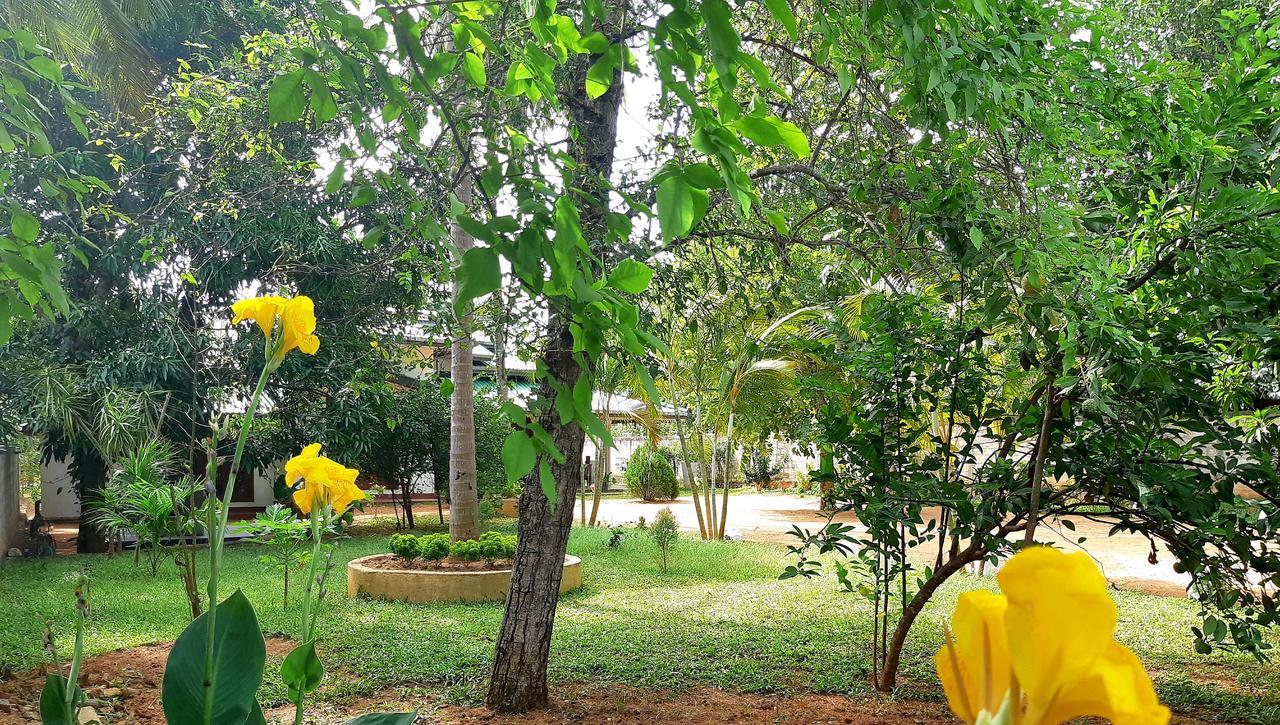 Tamarind Tamarind Resort, Tourist Board Approved Habarana Exterior photo